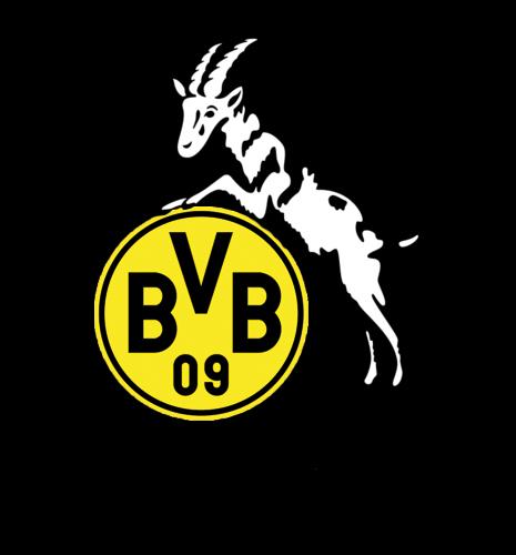 BVB